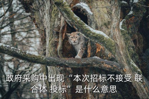 聯(lián)合體投標(biāo)是什么意思,本項(xiàng)目不接受聯(lián)合體投標(biāo)是什么意思