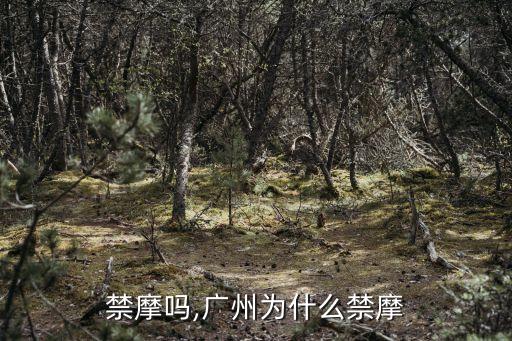 廣州禁摩嗎,廣州為什么禁摩