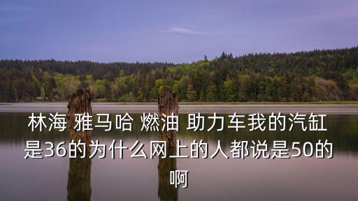 林海 雅馬哈 燃油 助力車我的汽缸是36的為什么網(wǎng)上的人都說是50的啊