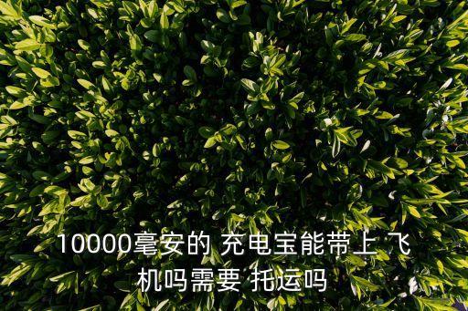 10000毫安的 充電寶能帶上 飛機(jī)嗎需要 托運(yùn)嗎