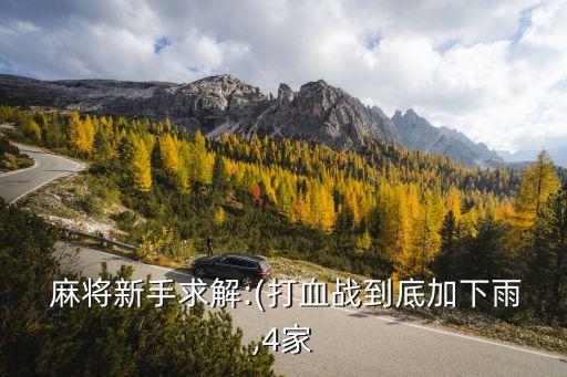  麻將新手求解:(打血戰(zhàn)到底加下雨,4家