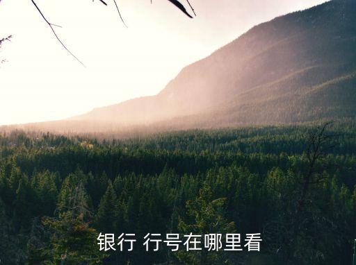 銀行行號(hào)怎么查詢,中國(guó)農(nóng)業(yè)銀行行號(hào)查詢