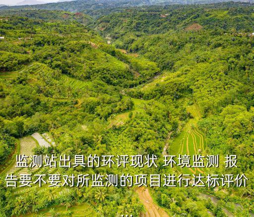 環(huán)境監(jiān)測報(bào)告,產(chǎn)品環(huán)境監(jiān)測報(bào)告