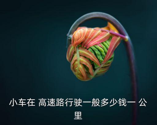 小車在 高速路行駛一般多少錢一 公里