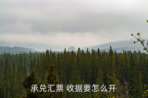 承兌匯票 收據(jù)要怎么開