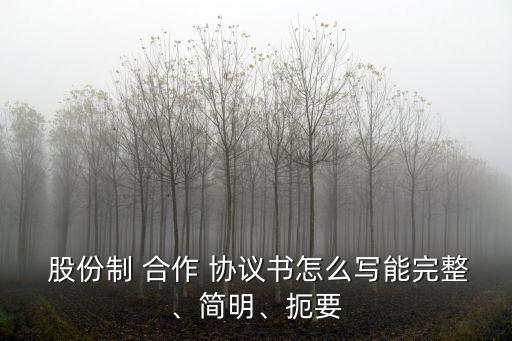  股份制 合作 協(xié)議書怎么寫能完整、簡明、扼要