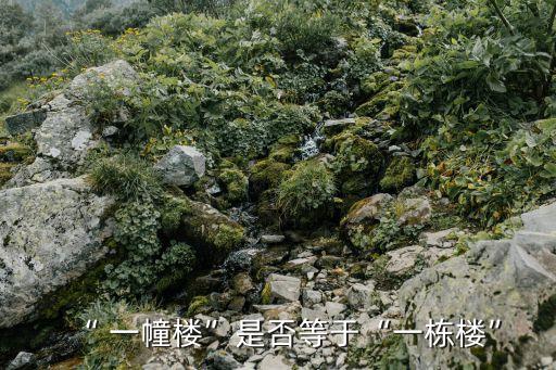 “ 一幢樓”是否等于“一棟樓”