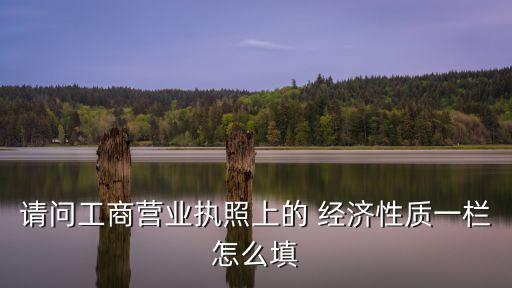 請問工商營業(yè)執(zhí)照上的 經(jīng)濟(jì)性質(zhì)一欄怎么填