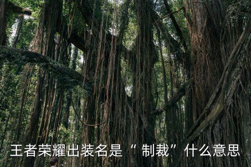 王者榮耀出裝名是“ 制裁”什么意思