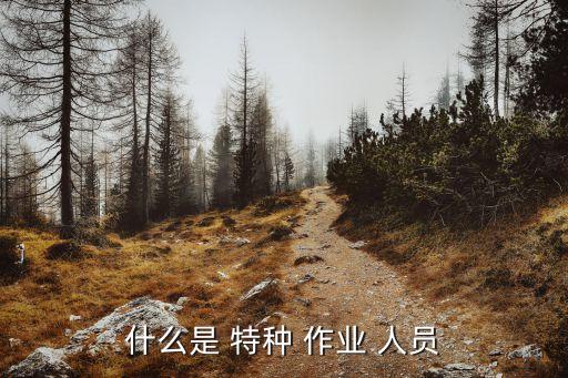 特種設(shè)備作業(yè)人員