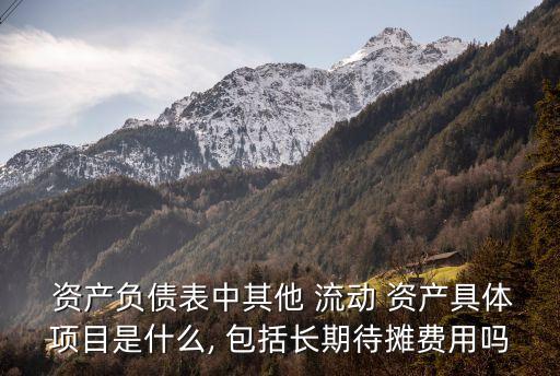 資產(chǎn)負(fù)債表中其他 流動 資產(chǎn)具體項(xiàng)目是什么, 包括長期待攤費(fèi)用嗎