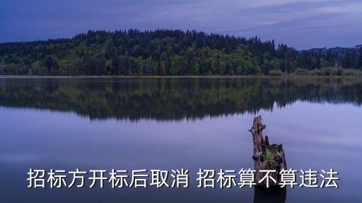 招標(biāo)方開標(biāo)后取消 招標(biāo)算不算違法