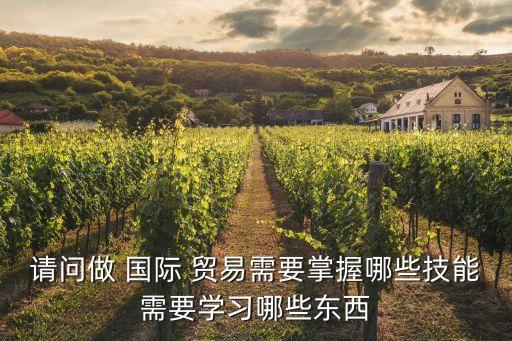 請問做 國際 貿(mào)易需要掌握哪些技能需要學(xué)習(xí)哪些東西