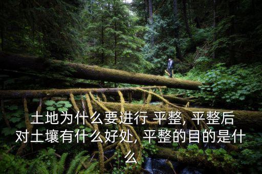 土地平整