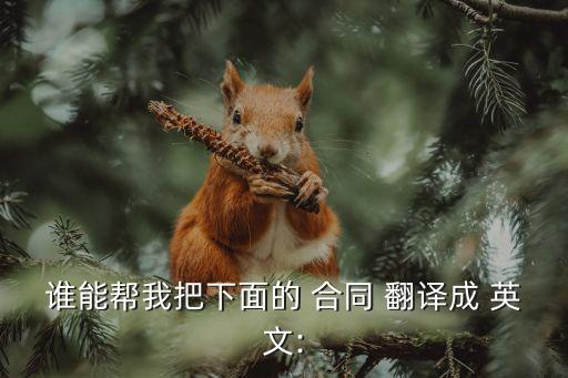 英文合同翻譯軟件,英文翻譯軟件哪個最準確