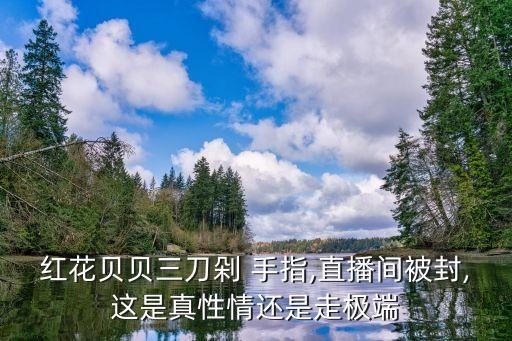 剁手指