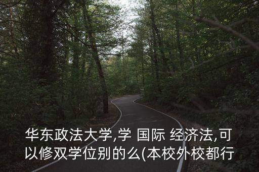 華東政法大學(xué),學(xué) 國際 經(jīng)濟法,可以修雙學(xué)位別的么(本校外校都行