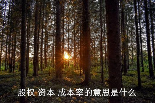 股權(quán) 資本 成本率的意思是什么