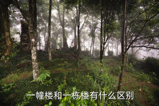 一幢房子,無論走到什么地方,有時(shí)是轉(zhuǎn)過一幢房子