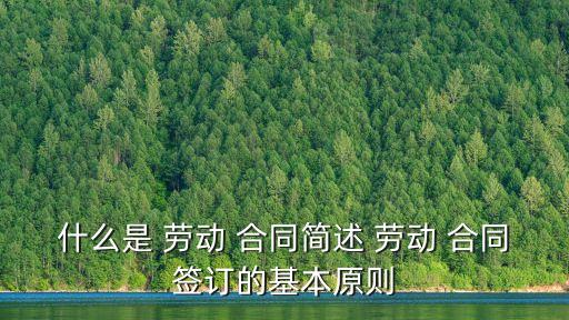 什么是 勞動(dòng) 合同簡述 勞動(dòng) 合同簽訂的基本原則
