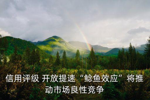 信用評(píng)級(jí) 開放提速“鯰魚效應(yīng)”將推動(dòng)市場良性競爭