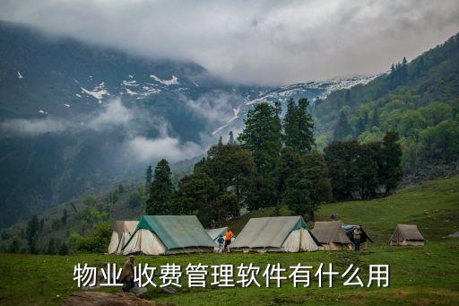  物業(yè) 收費(fèi)管理軟件有什么用
