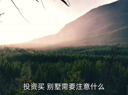 投資買 別墅需要注意什么