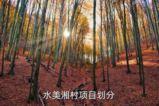 水美湘村項(xiàng)目劃分