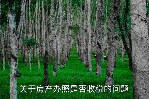 關(guān)于房產(chǎn)辦照是否收稅的問(wèn)題