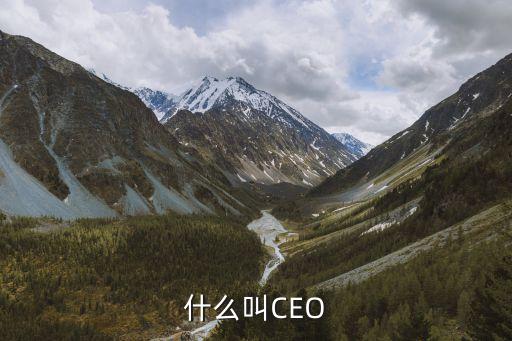 ceo是什么