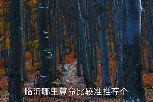 袁正