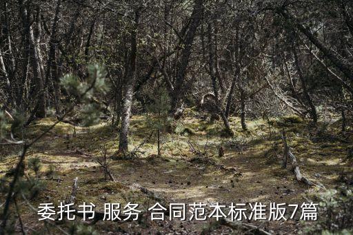 委托服務(wù)合同的法條,關(guān)于服務(wù)合同的相關(guān)法條
