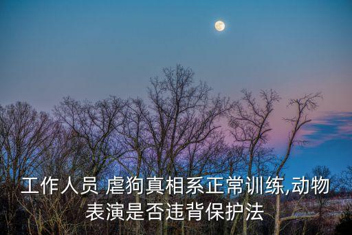 工作人員 虐狗真相系正常訓(xùn)練,動(dòng)物表演是否違背保護(hù)法