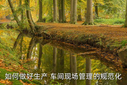 如何做好生產(chǎn) 車間現(xiàn)場(chǎng)管理的規(guī)范化