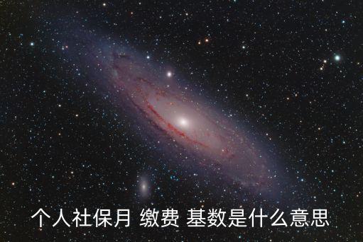 個人社保月 繳費 基數(shù)是什么意思
