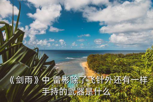 《劍雨》中 雷彬除了飛針外還有一樣手持的武器是什么