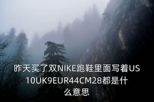 昨天買了雙NIKE跑鞋里面寫著US10UK9EUR44CM28都是什么意思