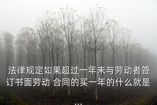  法律規(guī)定如果超過一年未與勞動(dòng)者簽訂書面勞動(dòng) 合同的買一年的什么就是...