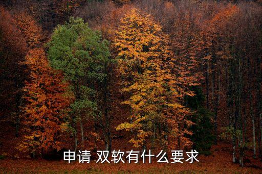 雙軟企業(yè)