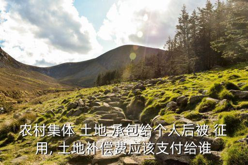 土地承包期內(nèi)被征用怎么賠償,魚塘征收補償多少錢一畝