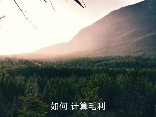 怎樣計算毛利率,進價100賣160利潤是多少