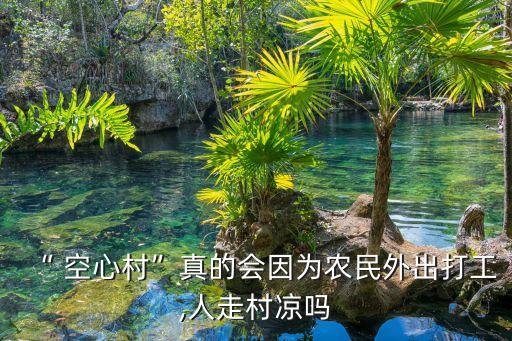 “ 空心村”真的會因為農(nóng)民外出打工,人走村涼嗎