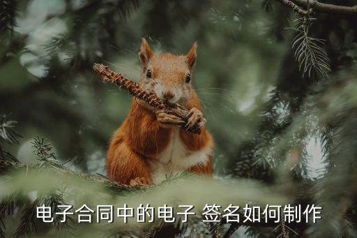 簽名制