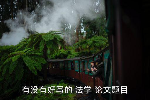 有沒(méi)有好寫(xiě)的 法學(xué) 論文題目