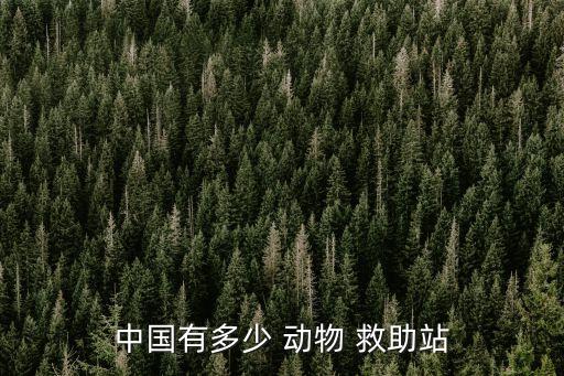 動(dòng)物救助站