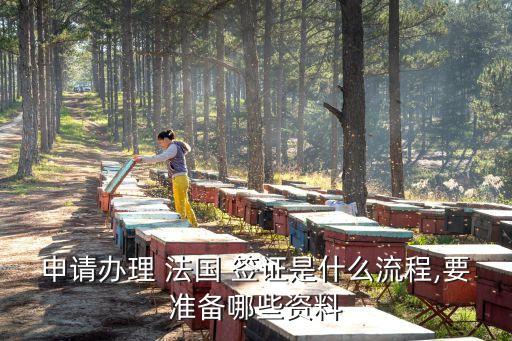 法國簽證