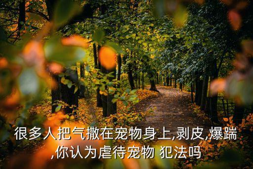 很多人把氣撒在寵物身上,剝皮,爆踹,你認(rèn)為虐待寵物 犯法嗎