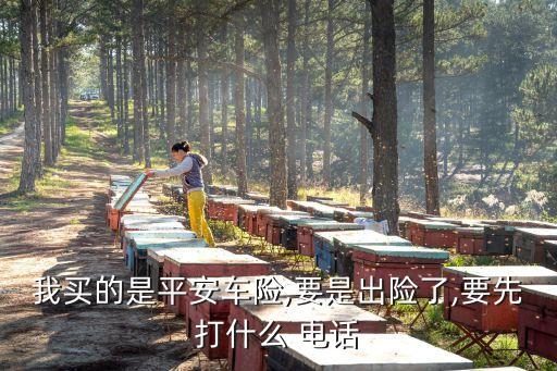 平安保險理賠電話,平安車險電話