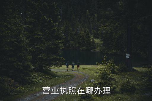 營業(yè)執(zhí)照哪里辦,義烏江東街道營業(yè)執(zhí)照哪里辦