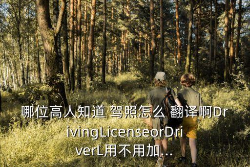 哪位高人知道 駕照怎么 翻譯啊DrivingLicenseorDriverL用不用加...